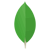 mongodb_original_logo_icon_146424